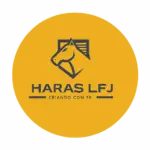 chatgpt image 25 de ago. de 2025, 11 34 39