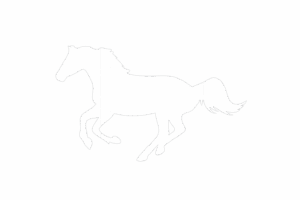 chatgpt image 25 de ago. de 2025, 16 57 40