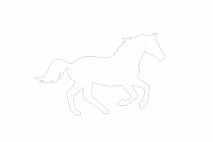 chatgpt image 25 de ago. de 2025, 17 18 31