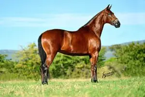 whatsapp image 2025 08 10 at 07.41.45