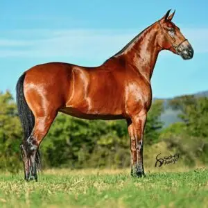 whatsapp image 2025 08 16 at 17.17.59