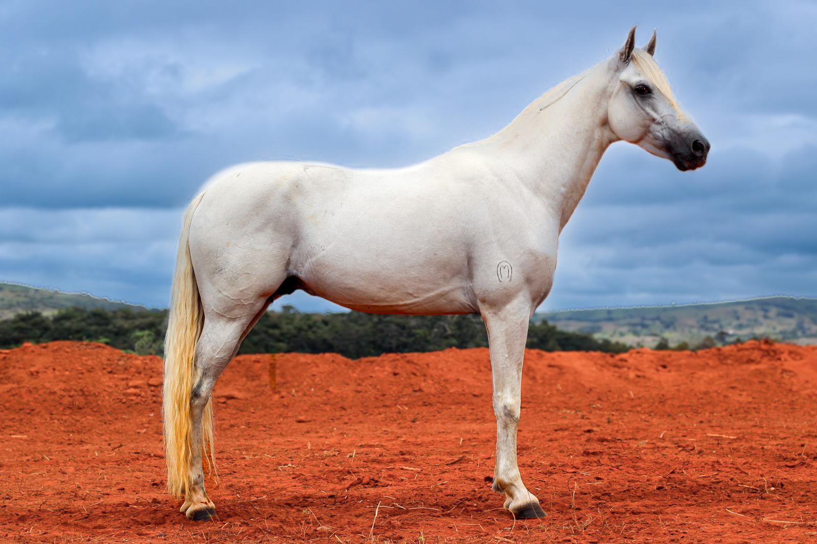 whatsapp image 2025 08 16 at 23.03.58 (6)