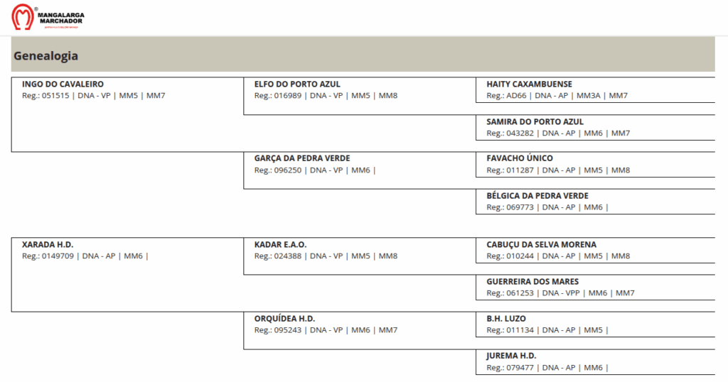 Eterna do Escuro abccmm 09 14 2025 04 46 pm