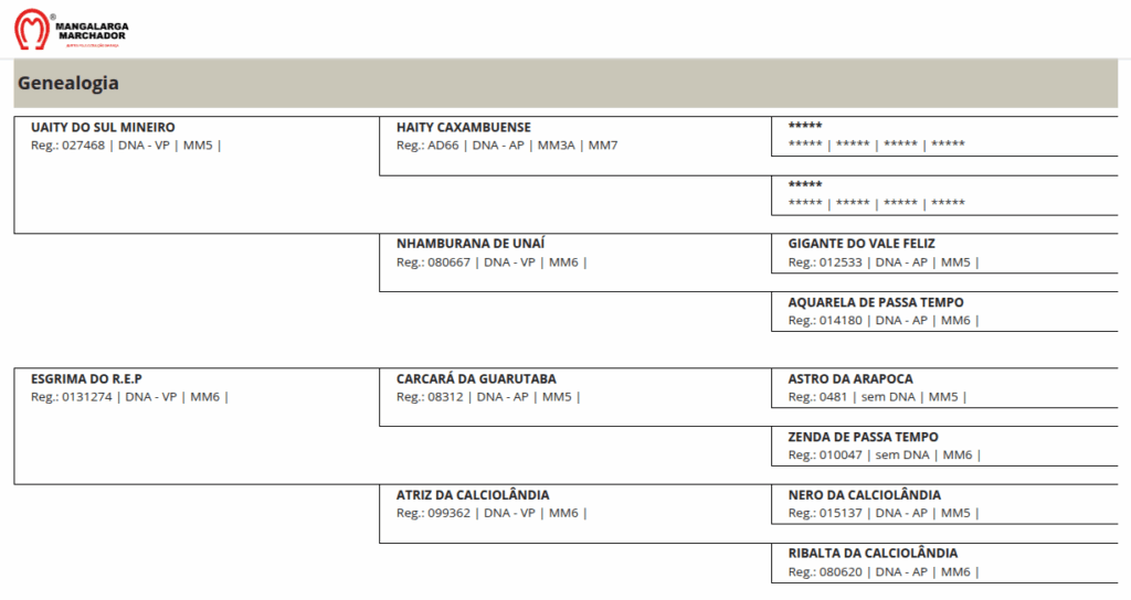 Jangada do Rep jangada