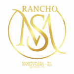 rancho ms