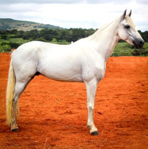 whatsapp image 2025 08 16 at 23.03.38