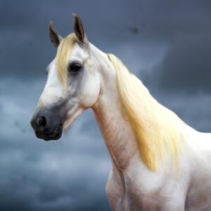 whatsapp image 2025 08 16 at 23.03.58 (5)