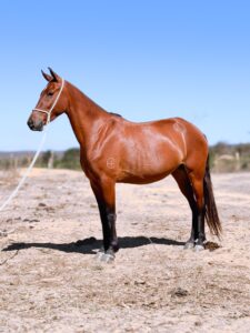 whatsapp image 2025 10 02 at 13.10.11 (2)