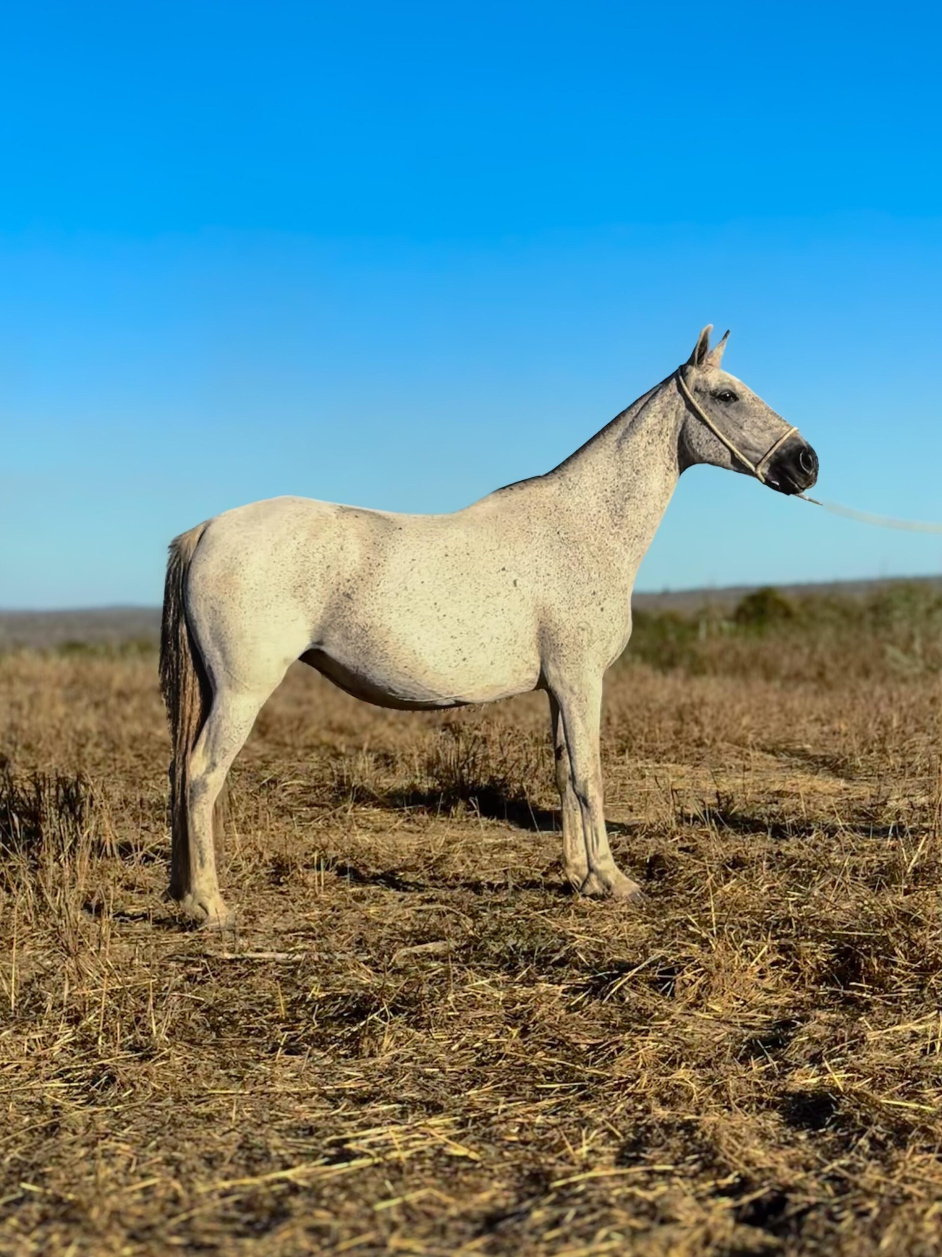Olinda do Aeroporto whatsapp image 2025 10 02 at 13.12.32 (1)