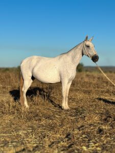 whatsapp image 2025 10 02 at 13.12.32 (4)