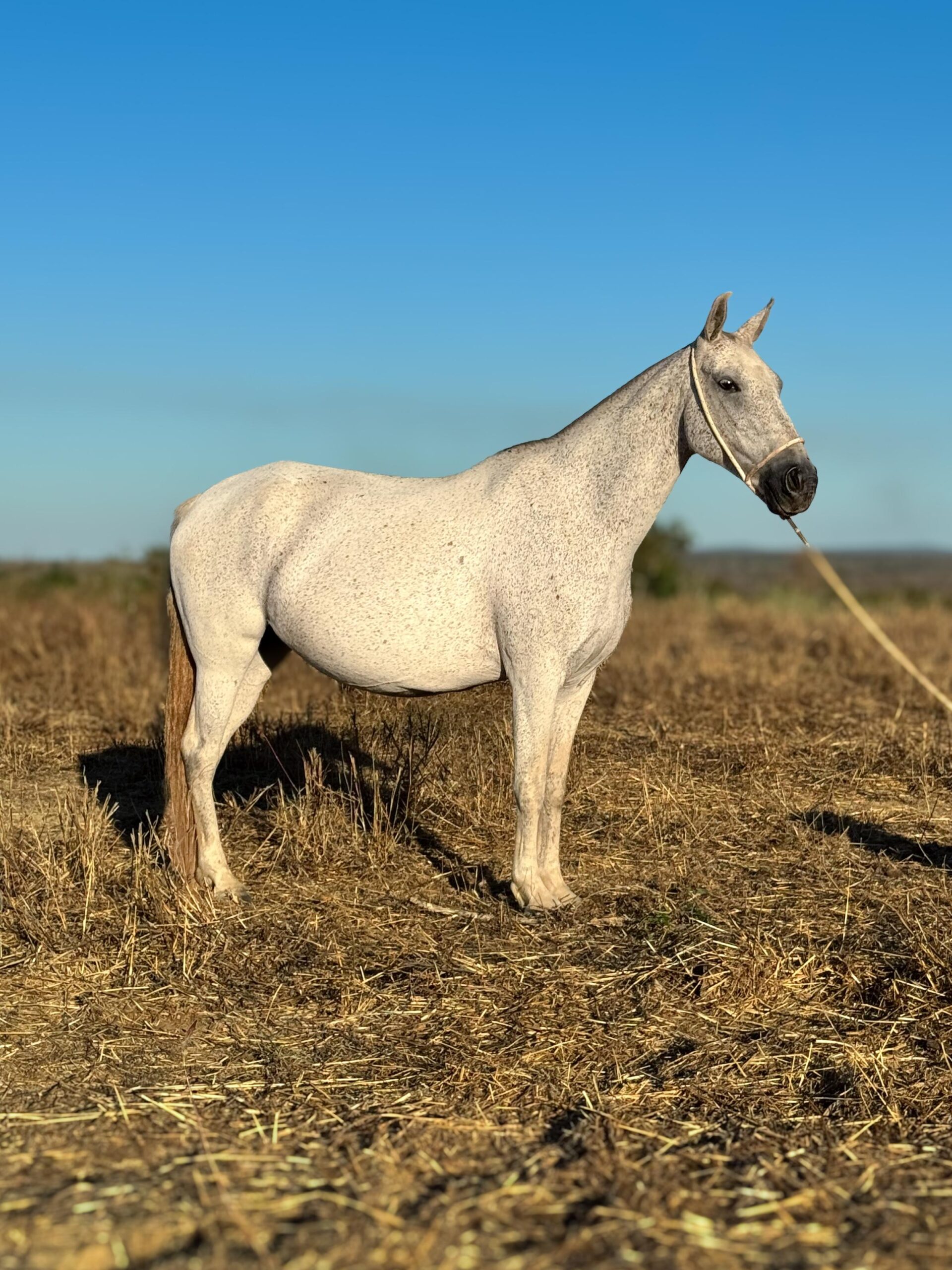 Olinda do Aeroporto whatsapp image 2025 10 02 at 13.12.32 (4)