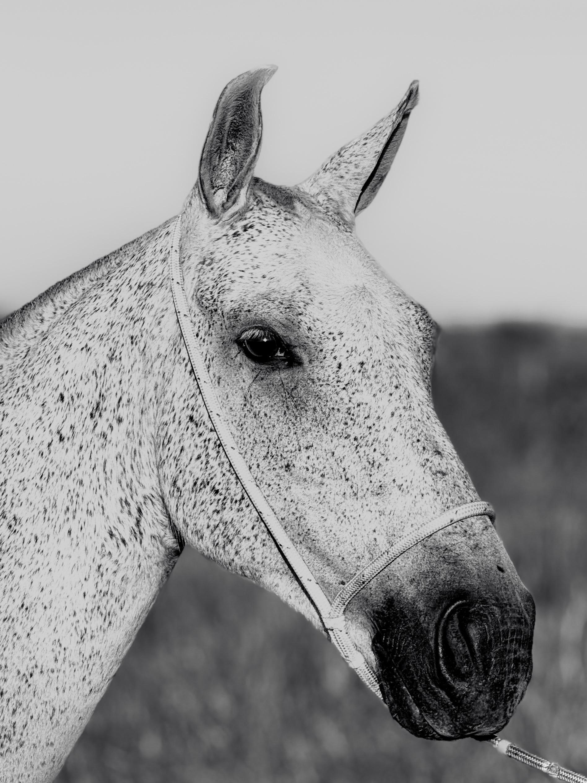 Olinda do Aeroporto whatsapp image 2025 10 02 at 13.12.32 (6)