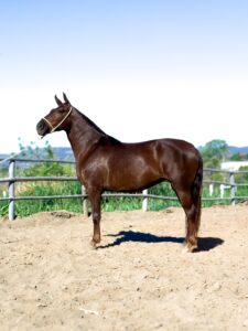 whatsapp image 2025 10 02 at 13.14.35