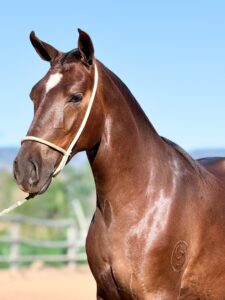 whatsapp image 2025 10 02 at 13.14.37 (2)