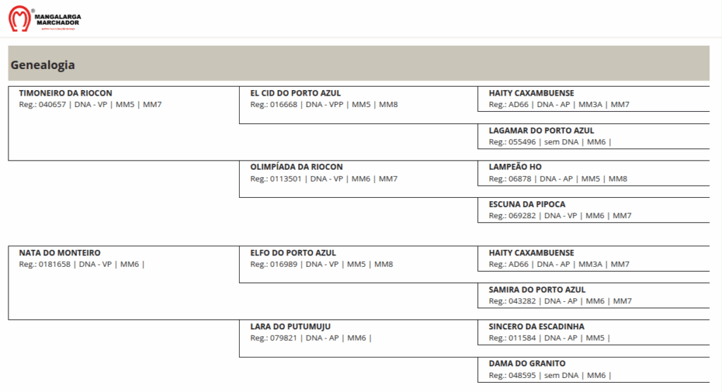 Razão do Passo Picado abccmm 11 18 2025 08 09 pm