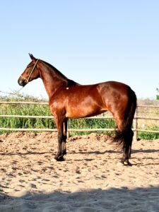 Doadoras whatsapp image 2025 10 02 at 13.36.54