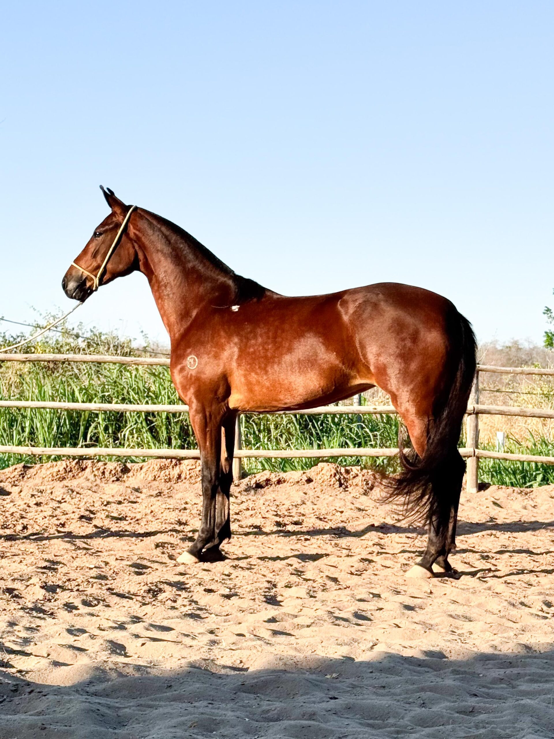 Doadoras whatsapp image 2025 10 02 at 13.36.54